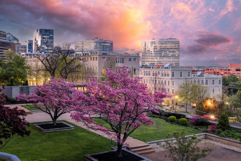 Spring sunset view of Arlington, VA with blooming cherry blossom trees and city skyline