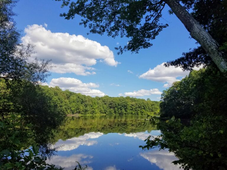 Lake surrounded by trees reflecting blue sky in Burke, Virginia