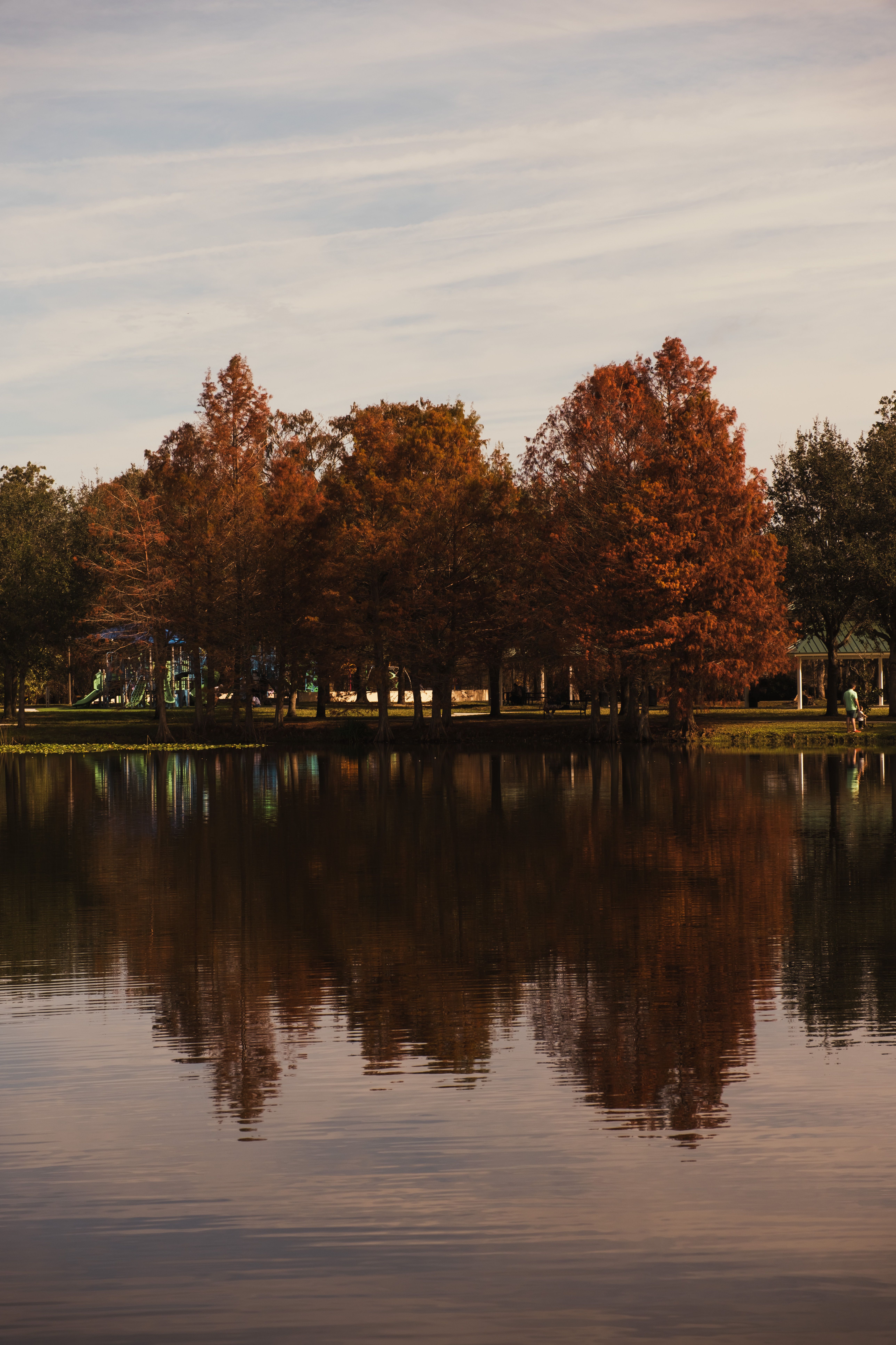 Autumn trees reflecting on a calm lake in Northern Virginia