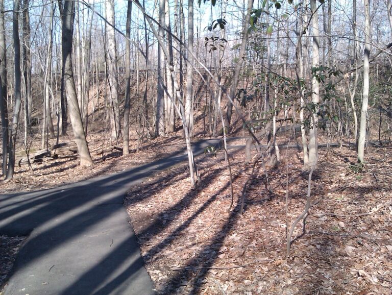 A paved Burke Centre walking path through winter woods near Burke Centre Parkway