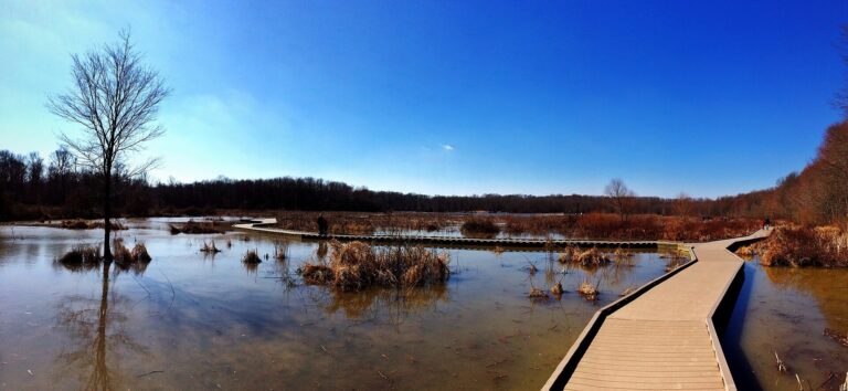 Boardwalk across the wetland at Huntley Meadows Park in the Hybla Valley area of Fairfax County