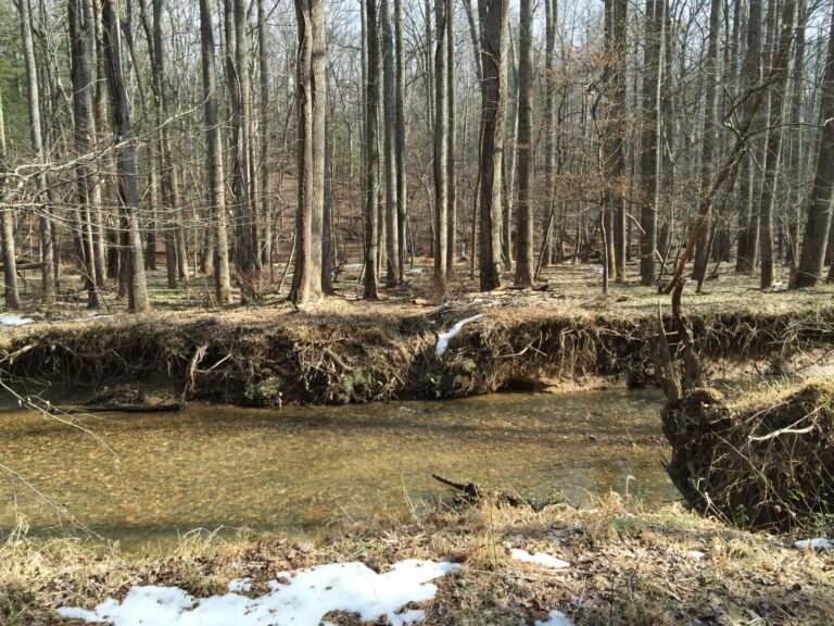 Difficult Run between Vale Road and Lawyers Road in Oakton, Virginia