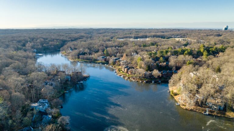 Aerial view of a lake and wooded shoreline in the Reston area, where Reston Association maintains lakes, trails and pools