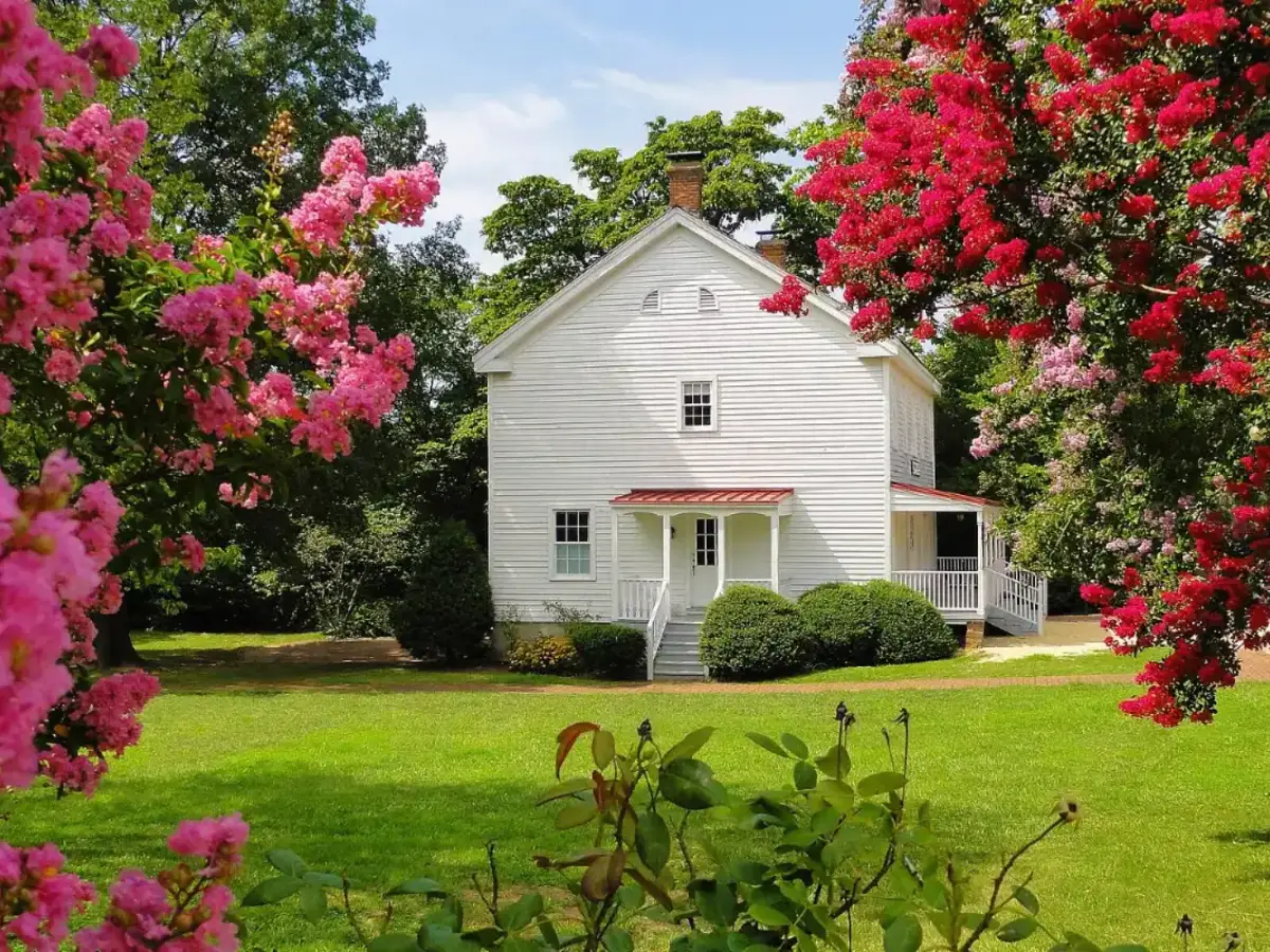 White historic house framed by crepe myrtles in Vienna, Virginia